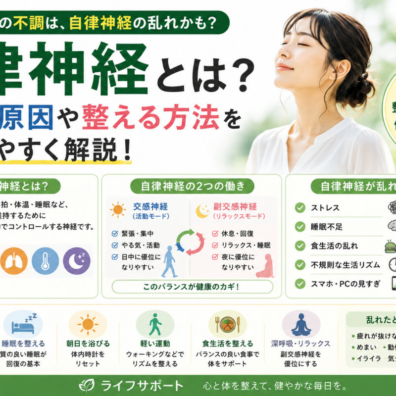 自律神経とは何かをわかりやすく解説したアイキャッチ画像 乱れる原因や整える方法を紹介