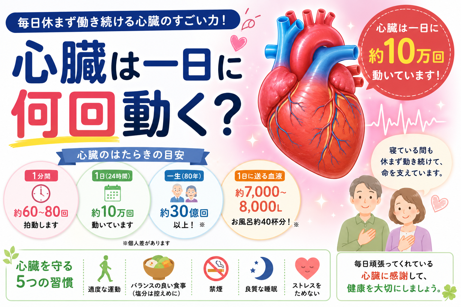 心臓は一日に何回動くのかをわかりやすく解説したアイキャッチ画像 心臓の働きや健康の大切さを紹介
