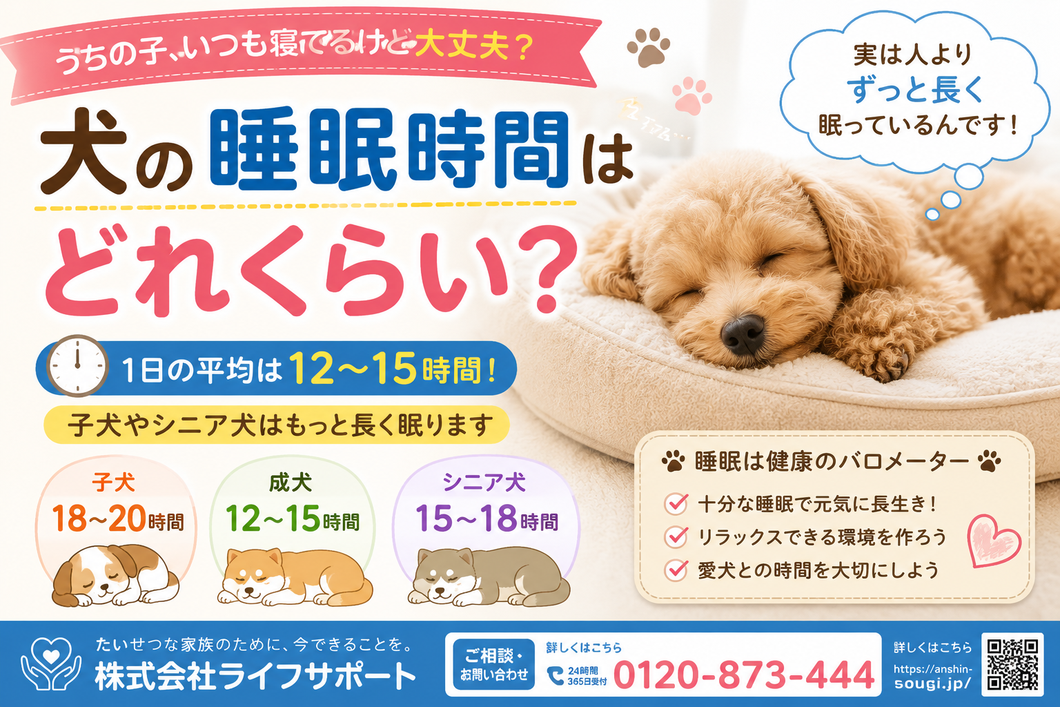 犬の睡眠時間はどれくらいなのかをわかりやすく解説したアイキャッチ画像 成犬や子犬 シニア犬の睡眠時間を紹介