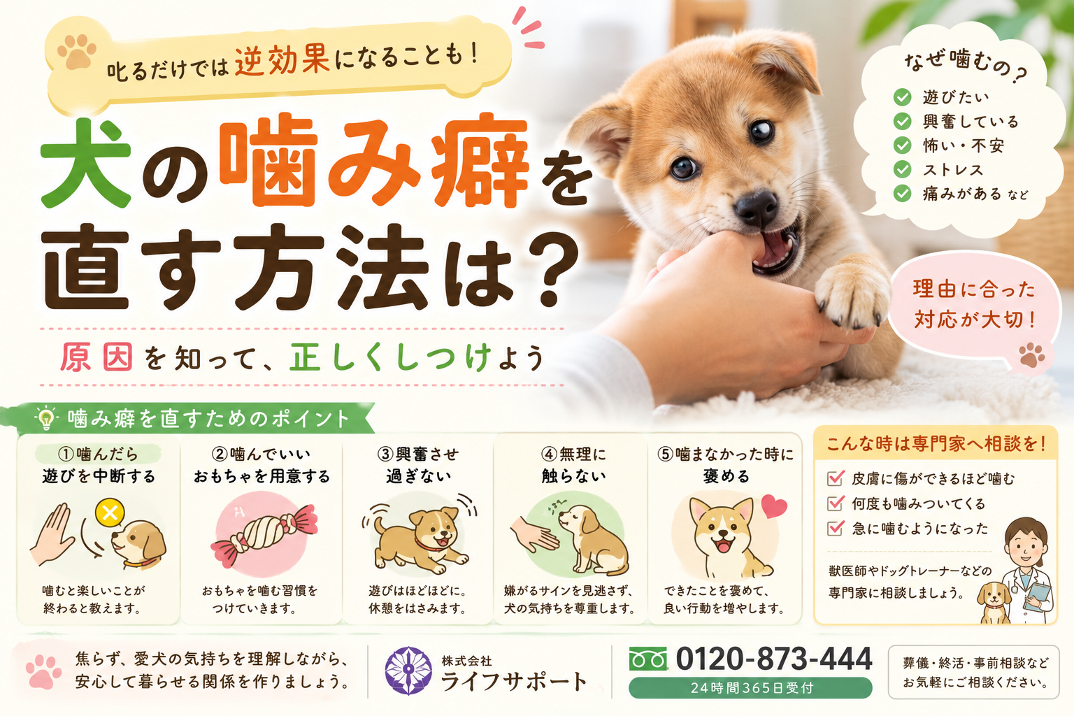 犬の噛み癖を直す方法を解説したアイキャッチ画像 噛む原因や正しいしつけ方 噛んだ時の対処法を紹介