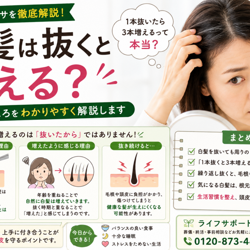 白髪は抜くと増えるのかを解説したアイキャッチ画像 白髪の原因や抜き続けるリスクを紹介